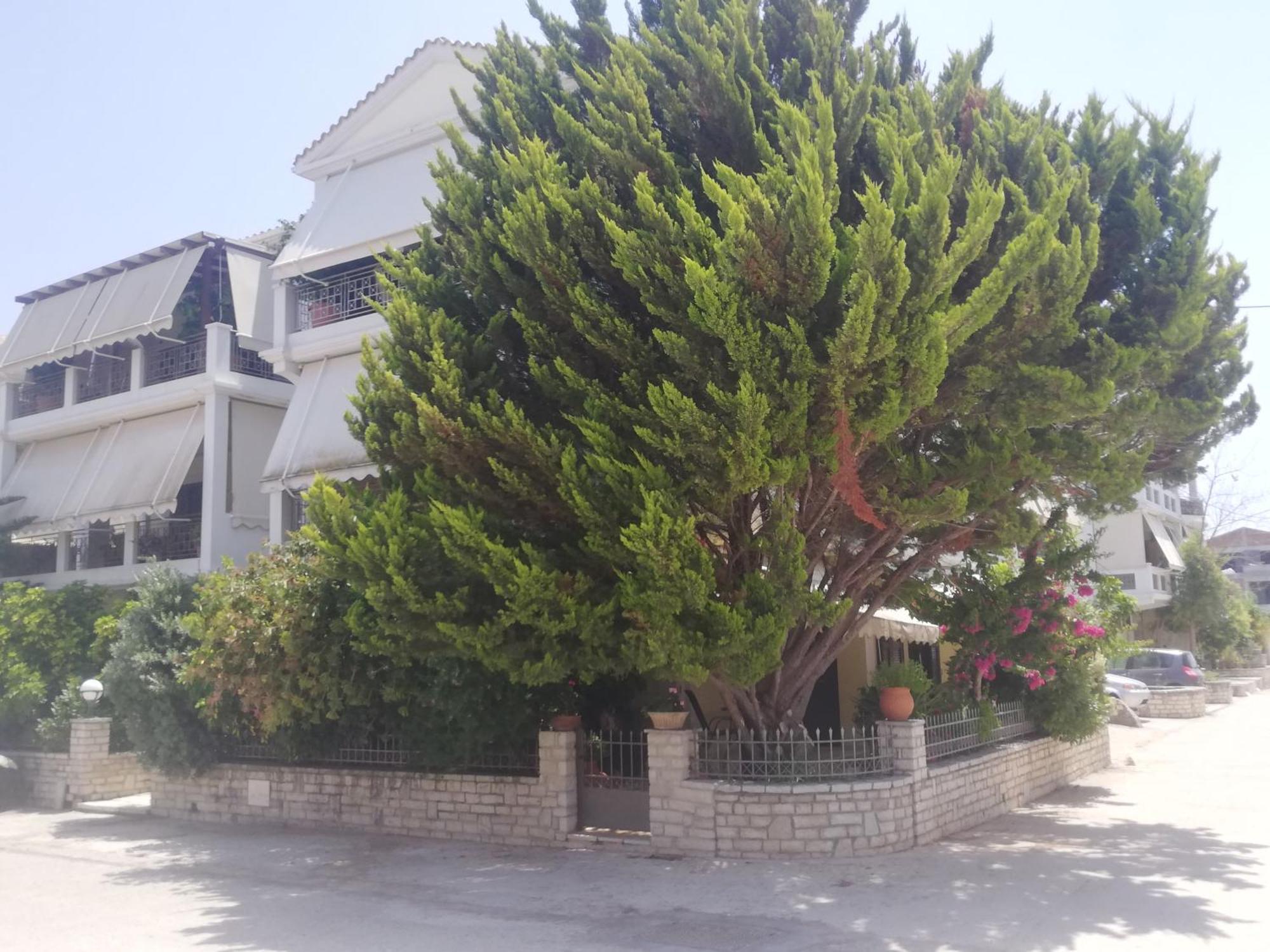 Vkastri City Lefkada City Екстер'єр фото